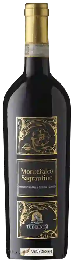 Winery Tudernum - Montefalco Sagrantino