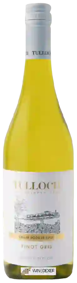 Winery Tulloch - Cellar Door Release Pinot Gris