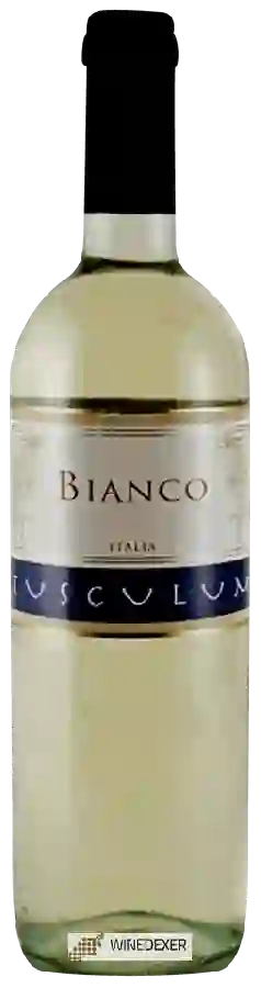 Winery Tusculum - Bianco Winery Tusculum - Bianco