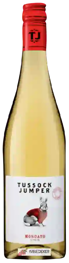 Winery Tussock Jumper - Moscato