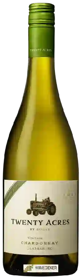 Winery Twenty Acres - Chardonnay Winery Twenty Acres - Chardonnay