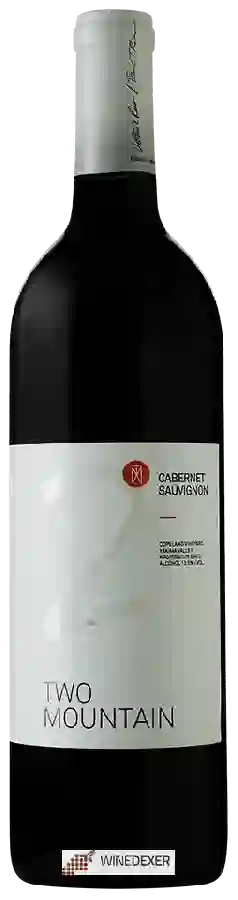 Winery Two Mountain - Cabernet Sauvignon