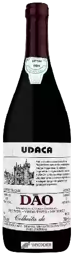 Winery UDACA - Colheita