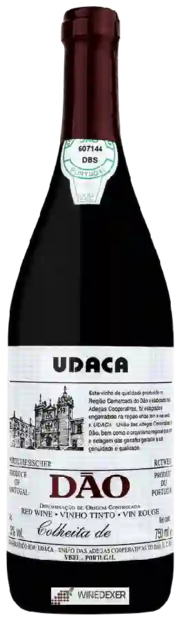 Winery UDACA - Colheita
