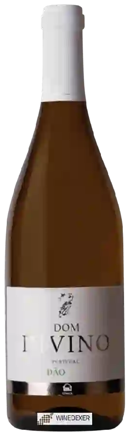 Winery UDACA - Dom Divino Branco