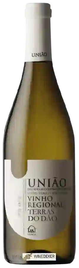Winery UDACA - União Branco Winery UDACA - União Branco