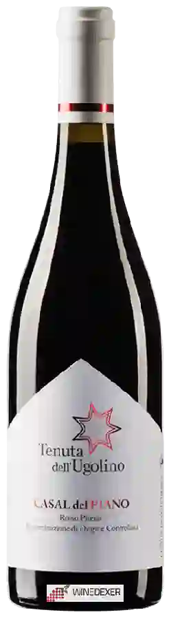 Winery Tenuta dell'Ugolino - Castel del Piano