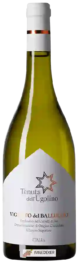 Winery Tenuta dell'Ugolino - Vigneto del Balluccio Verdicchio dei Castelli di Jesi Classico Superiore