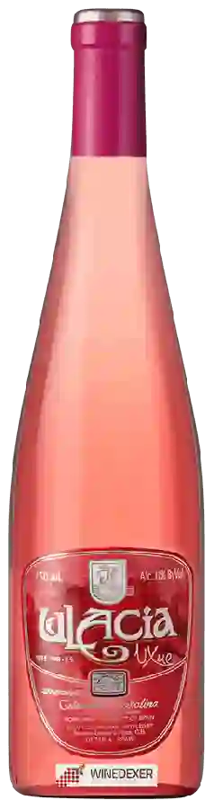Winery Ulacia - Getariako Txakolina Rosé