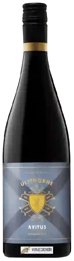 Winery Ulithorne - Avitus Winery Ulithorne - Avitus