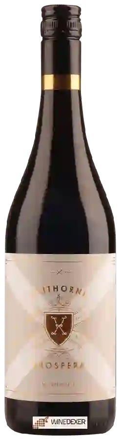 Winery Ulithorne - Prospera Winery Ulithorne - Prospera