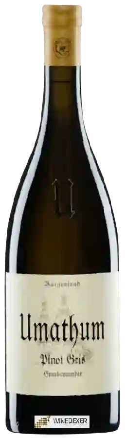 Winery Umathum - Pinot Gris