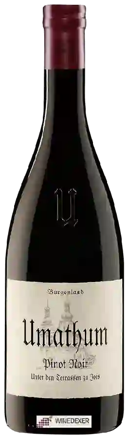 Winery Umathum - Unter den Terrassen Pinot Noir Winery Umathum - Unter den Terrassen Pinot Noir