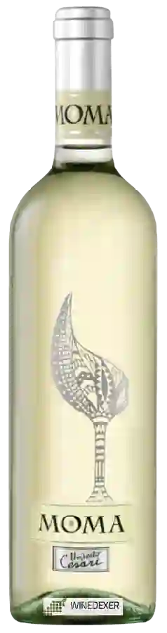 Winery Umberto Cesari - Moma Bianco Winery Umberto Cesari - Moma Bianco