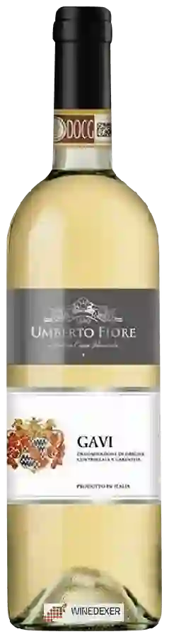 Winery Umberto Fiore - Gavi Winery Umberto Fiore - Gavi