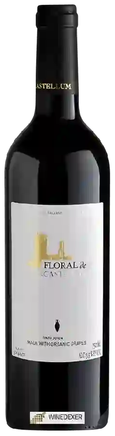 Winery Uncastellum - Floral de Uncastellum Tinto Joven