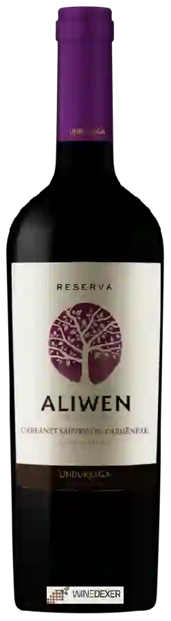 Winery Undurraga - Aliwen Reserva Cabernet Sauvignon - Carmenère