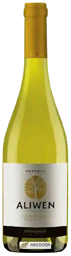 Winery Undurraga - Aliwen Reserva Chardonnay
