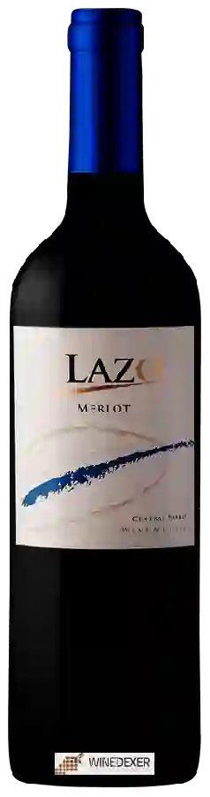 Winery Undurraga - Lazo Merlot