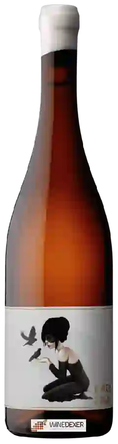 Winery Unico Zelo - Alluvium