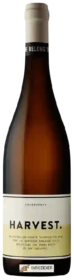 Winery Unico Zelo - Harvest Chardonnay