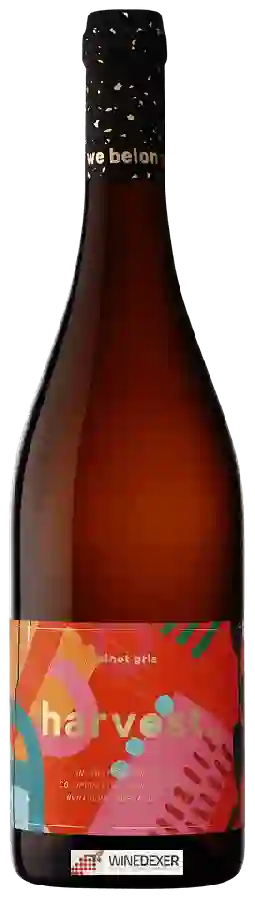Winery Unico Zelo - Harvest Pinot Gris