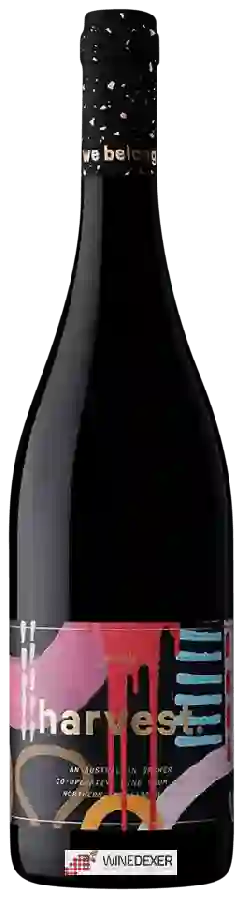 Winery Unico Zelo - Harvest Syrah