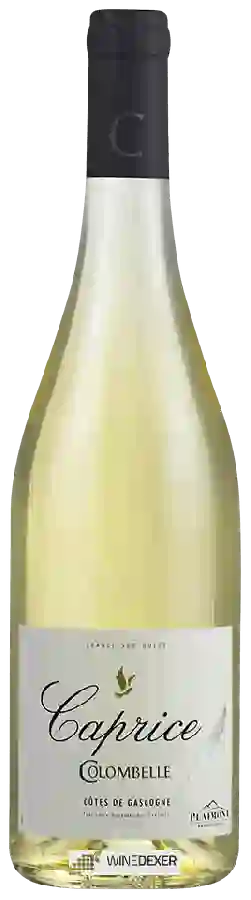 Winery Plaimont - Caprice Colombelle Blanc