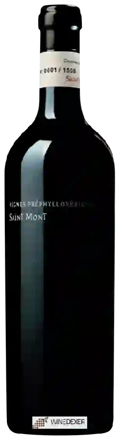 Winery Plaimont - Vignes Préphylloxériques Saint Mont Winery Plaimont - Vignes Préphylloxériques Saint Mont