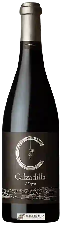 Winery Pago Calzadilla - Allegro