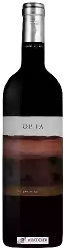 Winery Pago Calzadilla - Opta