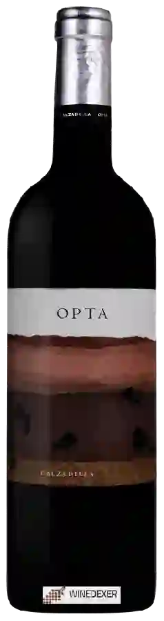 Winery Pago Calzadilla - Opta