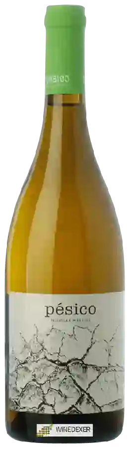 Winery Dominio del Urogallo - Pésico Blanco