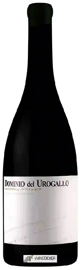 Winery Dominio del Urogallo - Retortoiro Winery Dominio del Urogallo - Retortoiro