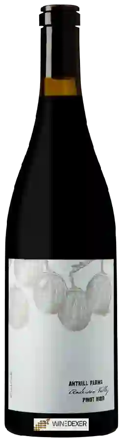 Winery Anthill Farms - Anderson Valley Pinot Noir Winery Anthill Farms - Anderson Valley Pinot Noir