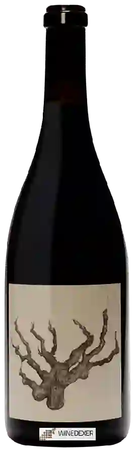 Winery Broc Cellars - Carbonic Carignan