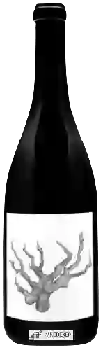 Winery Broc Cellars - Carignan