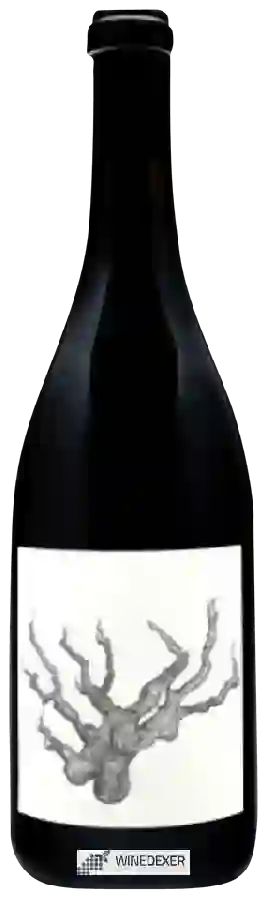 Winery Broc Cellars - Carignan Winery Broc Cellars - Carignan