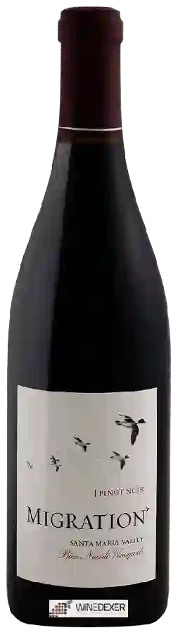 Winery Migration - Bien Nacido Vineyard Pinot Noir Winery Migration - Bien Nacido Vineyard Pinot Noir