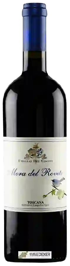 Winery Usiglian del Vescovo - Mora del Roveto Winery Usiglian del Vescovo - Mora del Roveto