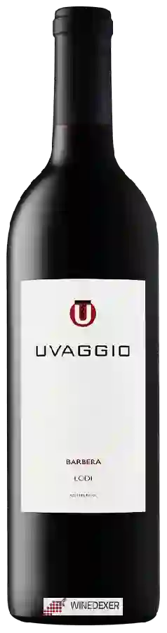 Winery Uvaggio - Barbera Winery Uvaggio - Barbera