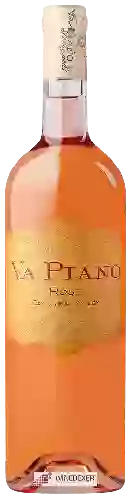 Winery Va Piano - Rosé