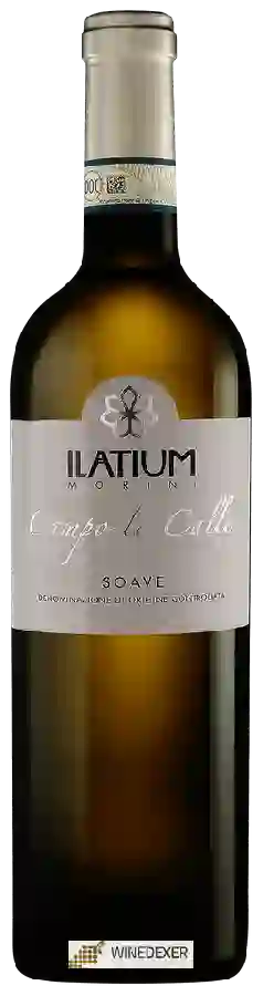 Winery Latium Morini - Campo le Calle Soave