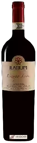 Winery Latium Morini - Campo León Amarone della Valpolicella