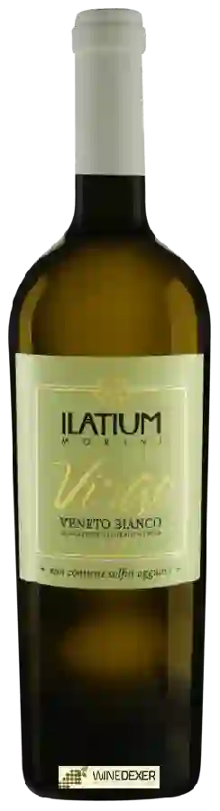 Winery Latium Morini - Virgo Bianco Winery Latium Morini - Virgo Bianco