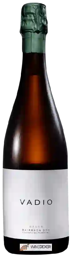 Winery Vadio - Bruto