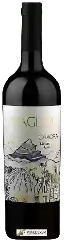 Winery Vaglio - Chacra Malbec