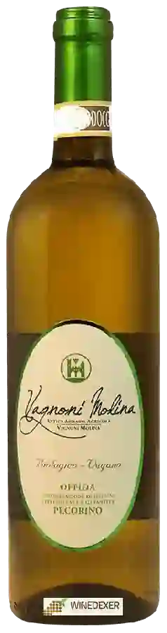Winery Vagnoni Molina - Offida Pecorino