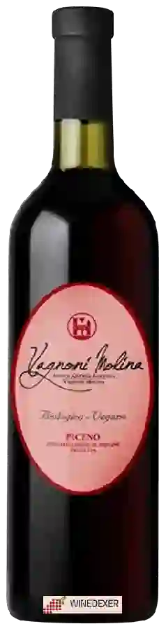Winery Vagnoni Molina - Rosso Piceno