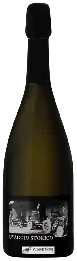 Winery Val d'Oca - Uvaggio Storico Winery Val d'Oca - Uvaggio Storico